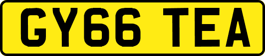 GY66TEA