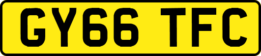 GY66TFC