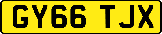 GY66TJX