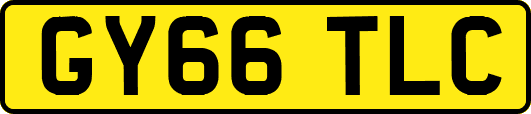 GY66TLC