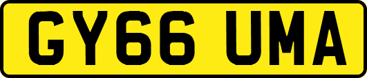 GY66UMA