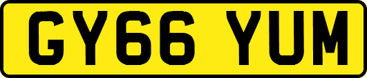 GY66YUM