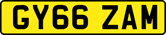 GY66ZAM