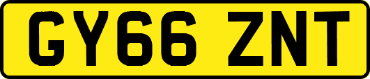GY66ZNT