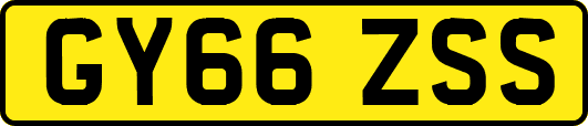 GY66ZSS