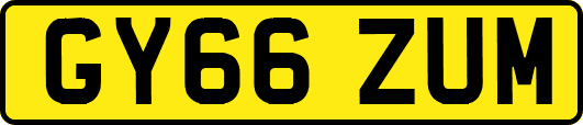 GY66ZUM