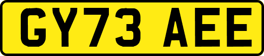 GY73AEE