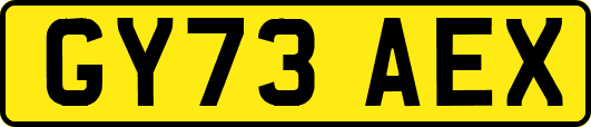 GY73AEX