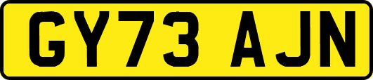 GY73AJN