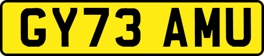 GY73AMU