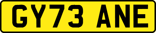 GY73ANE