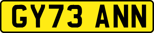 GY73ANN