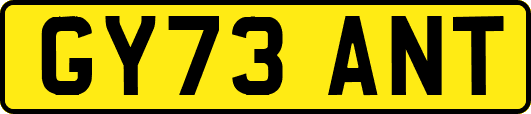 GY73ANT