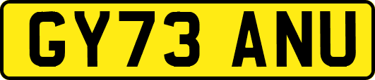 GY73ANU