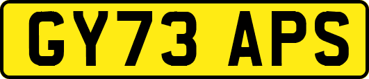 GY73APS