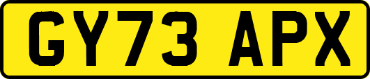 GY73APX