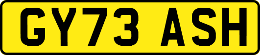 GY73ASH
