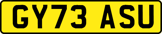 GY73ASU