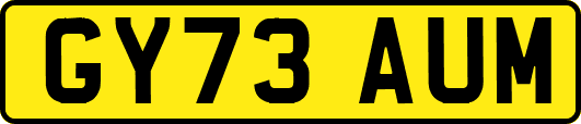 GY73AUM