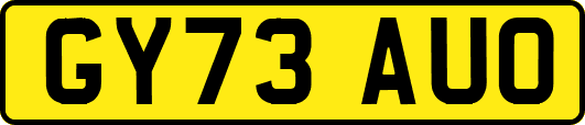 GY73AUO