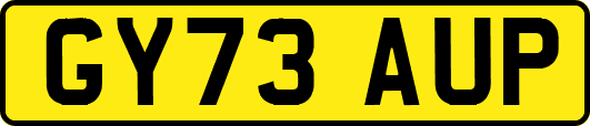 GY73AUP