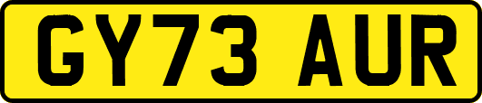 GY73AUR