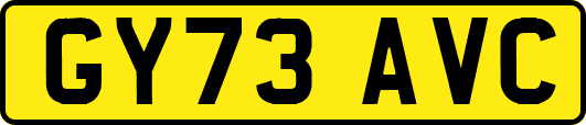GY73AVC