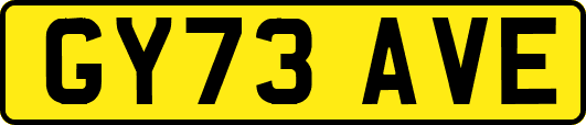 GY73AVE