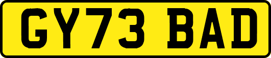 GY73BAD
