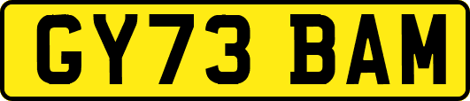 GY73BAM