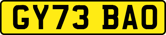 GY73BAO