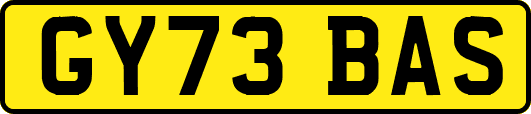 GY73BAS