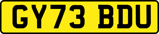 GY73BDU