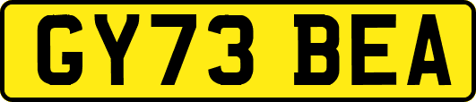 GY73BEA