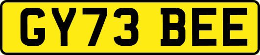 GY73BEE