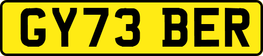 GY73BER