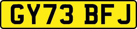 GY73BFJ