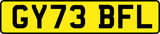 GY73BFL