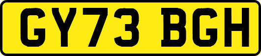 GY73BGH