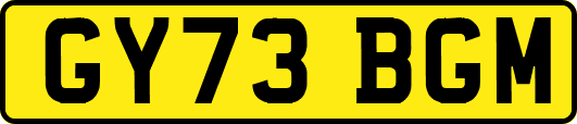 GY73BGM