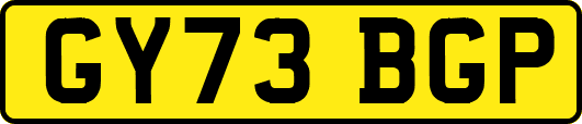 GY73BGP