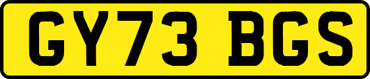 GY73BGS