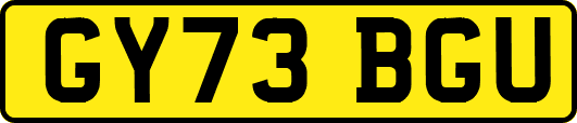 GY73BGU