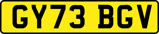 GY73BGV