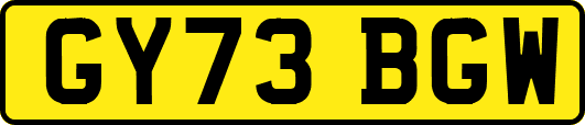 GY73BGW