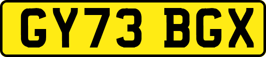 GY73BGX