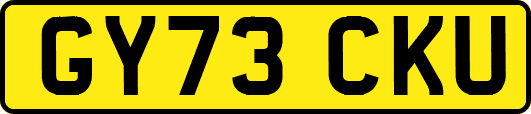 GY73CKU