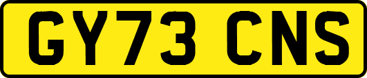 GY73CNS