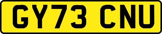 GY73CNU