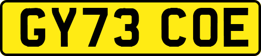 GY73COE